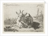 Lying goat, left by Jacobus Cornelis Gaal