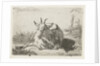 Lying goat, left by Jacobus Cornelis Gaal