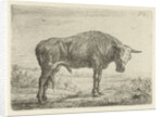 Standing bull by Jacobus Cornelis Gaal