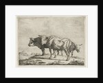 Three oxen by Pieter Gaal