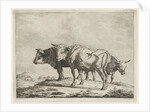 Three oxen by Pieter Gaal