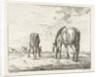 Two grazing horses by Jacobus Cornelis Gaal