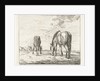 Two grazing horses by Jacobus Cornelis Gaal