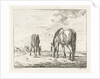 Two grazing horses by Jacobus Cornelis Gaal