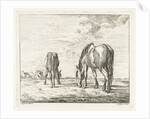 Two grazing horses by Jacobus Cornelis Gaal