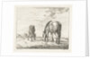 Two grazing horses by Jacobus Cornelis Gaal