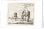 Two grazing horses by Jacobus Cornelis Gaal