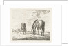 Two grazing horses by Jacobus Cornelis Gaal