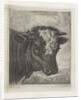 Head of a cow with white kol by Jacobus Cornelis Gaal