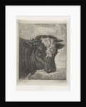 Head of a cow with white kol by Jacobus Cornelis Gaal