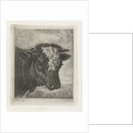 Head of a cow with white kol by Jacobus Cornelis Gaal