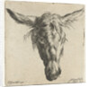 Head of a donkey by Nicolaes Pietersz. Berchem