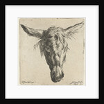 Head of a donkey by Nicolaes Pietersz. Berchem