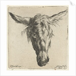 Head of a donkey by Nicolaes Pietersz. Berchem