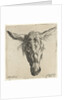 Head of a donkey by Nicolaes Pietersz. Berchem