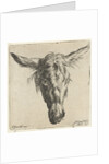 Head of a donkey by Nicolaes Pietersz. Berchem