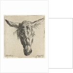 Head of a donkey by Nicolaes Pietersz. Berchem