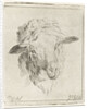 Head of a sheep by Jacobus Cornelis Gaal