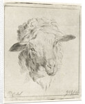 Head of a sheep by Jacobus Cornelis Gaal
