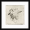Head of a sheep by Jacobus Cornelis Gaal