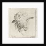 Head of a sheep by Jacobus Cornelis Gaal