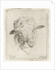 Head of a sheep by Jacobus Cornelis Gaal