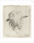 Head of a sheep by Jacobus Cornelis Gaal