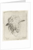 Head of a sheep by Jacobus Cornelis Gaal