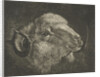 Head of a ram with twisted horns backward by Jacobus Cornelis Gaal