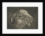 Head of a ram with twisted horns backward by Jacobus Cornelis Gaal
