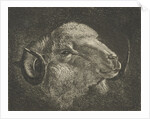 Head of a ram with twisted horns backward by Jacobus Cornelis Gaal