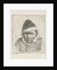 Bust of an old peasant with a pointed hat by Adriaen van Ostade