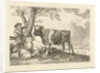Taurus and farmer by Paulus Potter