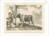 Taurus and farmer by Paulus Potter