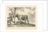 Taurus and farmer by Paulus Potter