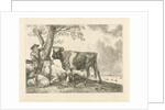 Taurus and farmer by Paulus Potter