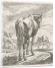 A horse is seen obliquely from behind, In the background a grazing horse by Johannes Mock