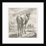 A horse is seen obliquely from behind, In the background a grazing horse by Johannes Mock