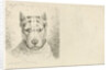 Dogs head with collar by Johannes Mock