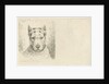 Dogs head with collar by Johannes Mock