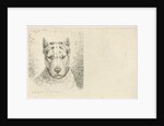 Dogs head with collar by Johannes Mock