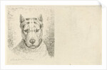 Dogs head with collar by Johannes Mock