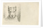 Dogs head with collar by Johannes Mock