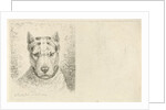 Dogs head with collar by Johannes Mock