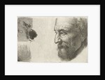 Face of an old man in profile by Johannes Mock
