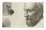 Face of an old man in profile by Johannes Mock
