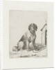 Sitting dog chained to a doghouse by Christiaan Wilhelmus Moorrees