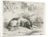 Reclining dog in front of a wall by Christiaan Wilhelmus Moorrees