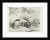 Reclining dog in front of a wall by Christiaan Wilhelmus Moorrees