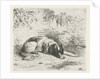 Reclining dog in front of a wall by Christiaan Wilhelmus Moorrees